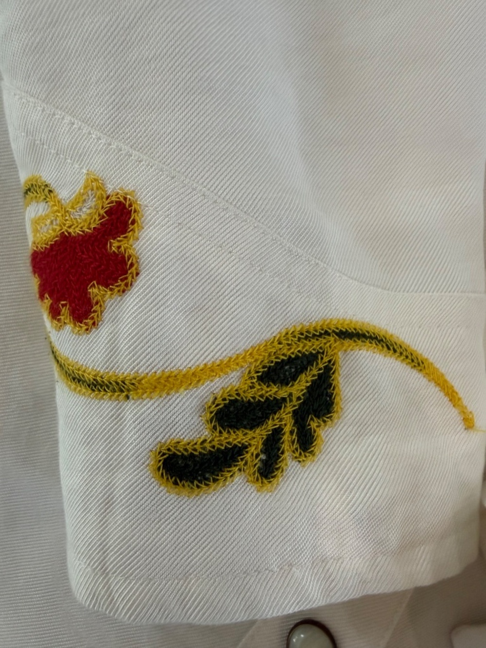 Stetson & THE GREAT Embroidered Western Shirt - Picture 13 of 14